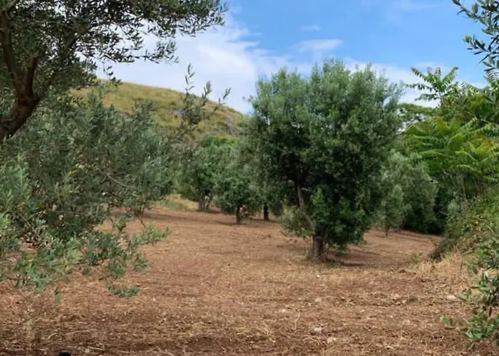 La Dimora Di Titiro Cetraro