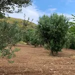 La Dimora Di Titiro Cetraro