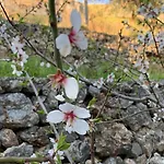 Ferienhaus La Dimora Di Titiro *