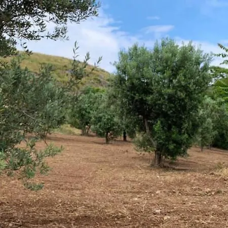 La Dimora Di Titiro Cetraro