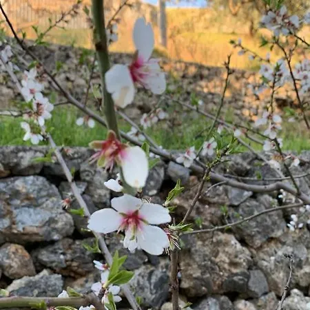 度假居 La Dimora Di Titiro *