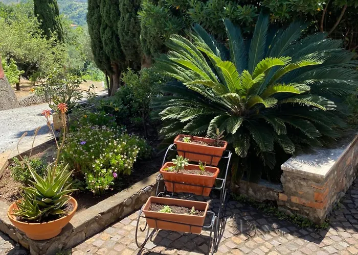 Ferienhaus La Dimora Di Titiro Cetraro